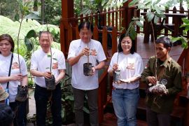 Ribuan pohon ditanam di kaki Gunung Welirang peringati HMPI