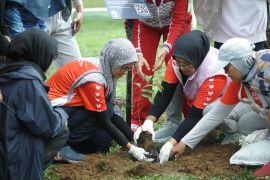 PLN tanam puluhan bibit pohon dukung program nasional "Net Zero Emission"