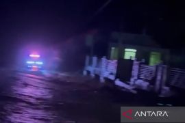 Tiga desa di dataran tinggi Nagan Raya terendam banjir