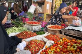 Warga Tanah Bumbu keluhkan harga cabai makin "pedas"