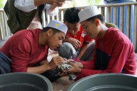 Siapkan Usaha Santri, Adaro - IPB Latih Budidaya Ikan Papuyu