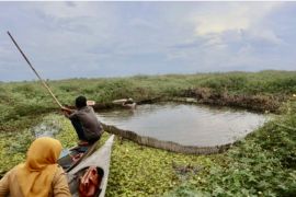 Kabupaten HSU terus perkuat budidaya perikanan sambut IKN