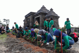 Memadukan konservasi lingkungan dan situs sejarah candi melalui kolaborasi
