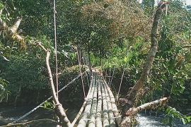 Muara Uri expecting Kotabaru Regent to open access for the village
