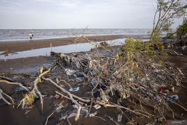 Transformasi ekonomi ekosistem alam melalui Identifikasi Digital