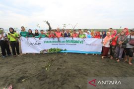 Mangrove, penyeimbang keanekaragaman hayati dan upaya mitigasi bencana