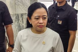 Ketua DPR : Pembahasan lanjutan revisi UU Desa selesai pemilu 2024