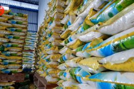 Bulog NTB bidik peluang impor beras untuk jaga ketahanan pangan