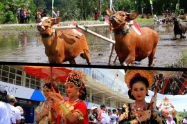 NTB lebih selektif susun agenda wisata 2024 agar semua terlaksana