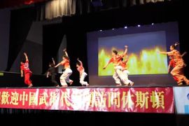 Timnas Wushu China suguhkan pertunjukan di Houston