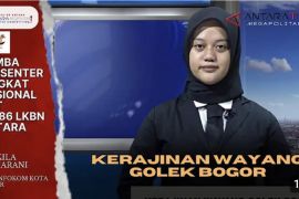 Kerajinan wayang golek Bogor