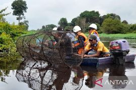 Kerjasama APP Group dan BRIN dalam budidaya perikanan: Langkah strategis menuju peningkatan ekonomi berkelanjutan