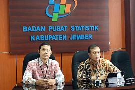 Cabai rawit penyumbang inflasi terbesar bulan November di Jember