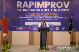 Pj Gubernur Safrizal ajak Kadin Babel kolaborasi tekan inflasi