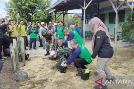 Pemkot Banjarmasin gelorakan gerakan tanam satu rumah satu pohon