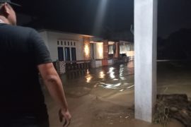 Ratusan rumah warga di Panapa Lubuk Sikaping terendam banjir (Video)