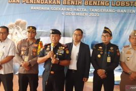 KKP gelar operasi pencegahan penyelundupan benih lobster di Bandara Soetta