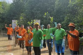 Danamon dan Adira Finance kembangkan kawasan Mangrove Tanjung Piayu Batam