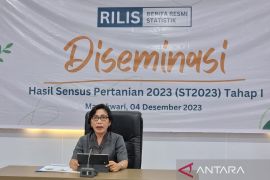 BPS: Jumlah petani milenial di Papua Barat 19.655 orang