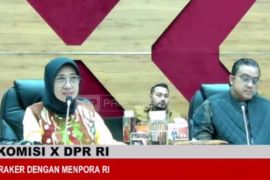 Komisi X DPR setujui naturalisasi Jay dan Nathan
