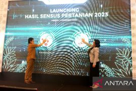 Pemprov Maluku: Data Sensus Pertanian 2023 perkuat ketahanan pangan