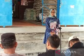 Pemkot-Iwapi bersinergi optimalkan pembinaan UMKM di Palangka Raya