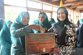 Lomba Tanaman Obat Keluarga tingkat Pemkab Tapsel 2023 berakhir, ini juaranya