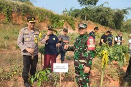 24 Koramil di Bogor gelar aksi tanam pohon dan bersih-bersih sampah serentak