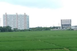 Pemkab Karawang diminta komitmen jaga areal pertanian