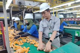 Perusahaan benih jagung dukung kedaulatan pangan