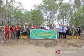PT Timah bersama Koramil 03 Kundur kembali tanam mangrove di pantai Timun