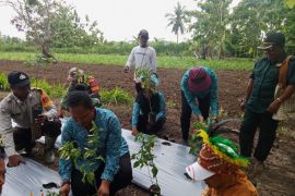 Pemprov Papua: Sensus Pertanian 2023 menjadi pedoman perumusan kebijakan