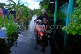 Banjir rendam tiga desa di Kabupaten Kubu Raya