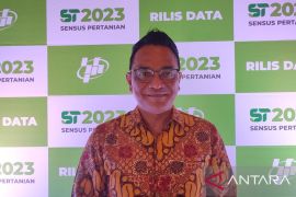 Usaha pertanian di Babel bertambah 18,26 persen