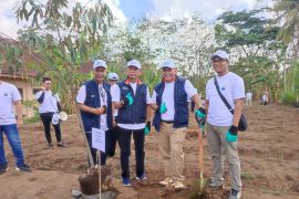 Jasa Tirta I dan Indra Karya kolaborasi tanam pohon di Kalipare Malang