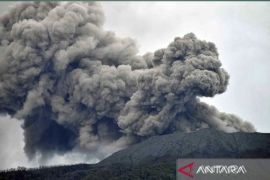 Pekanbaru antisipasi kelangkaan pangan usai erupsi Gunung Marapi
