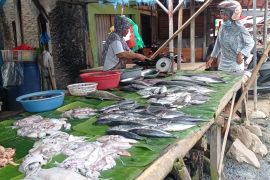 Nelayan pesisir Banten barat tak terpengaruh erupsi GAK