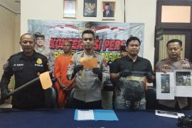 Polisi bekuk pelaku pencurian hewan ternak di Kuta, Bali