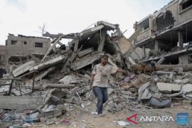 Irlandia dukung resolusi DK PBB untuk gencatan senjata di Gaza