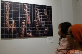 Bali kemarin, Canggu masih jadi incaran investor hingga Kisah Rimba di Dharma Negara Alaya