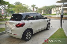 Percepat transformasi mobil listrik untuk selamatkan bumi