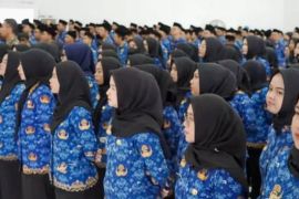 280 tenaga teknis PPPK Karawang dilantik