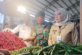 Pemkot Jambi tingkatkan kerja sama daerah pasokan cabai