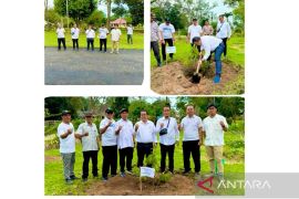 Distrik Serdang II tanam seribu pohon untuk lestarikan lingkungan