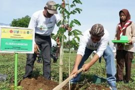 Pemkab Magetan tanam ribuan bibit pohon dukung pelestarian lingkungan