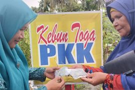 Tanaman Obat Keluarga PKK Desa Sipangko sumber kesehatan warga