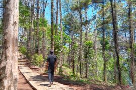 GEOPARK MERATUS - Pulau Rusa alias Pulau Ulin