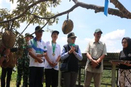 Jelajah Ruang Menoreh Geoheritage Banjaroya