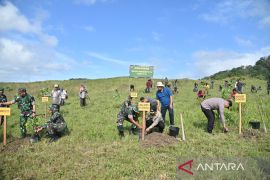 Advertorial - Pemkot dan Kodim 0212/TS tanam 500 pohon di Padangsidimpuan