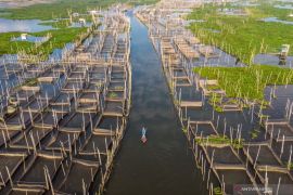 Produksi perikanan budidaya Jateng duduki peringkat ketiga se-Indonesia
